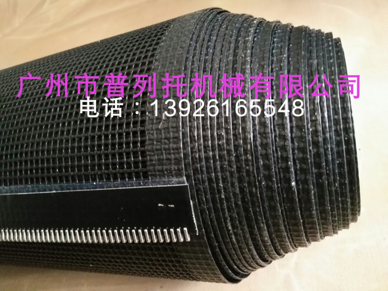 宁志飞wssy_1482561452797.jpg