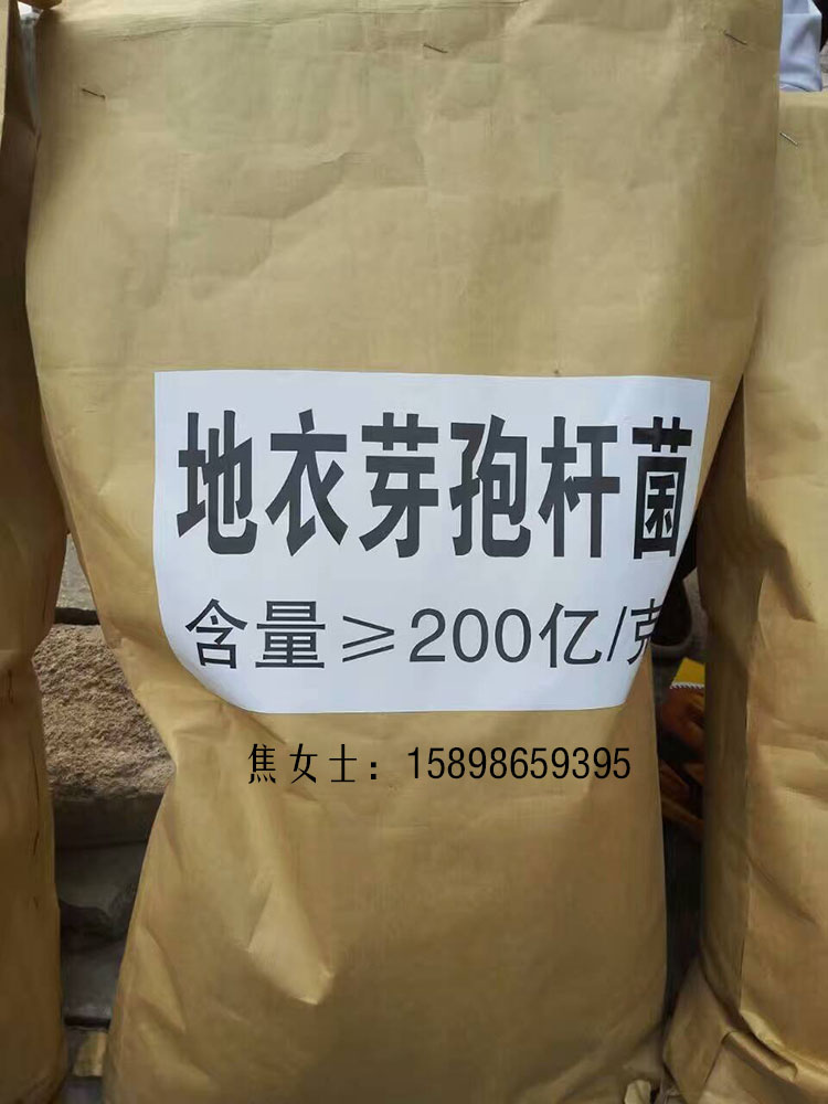 1483691434510441.jpg 3.jpg