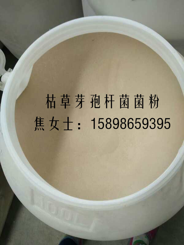 1483691443810669.jpg 1.jpg