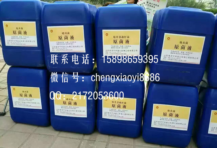 1483691769956086.jpg 1.jpg