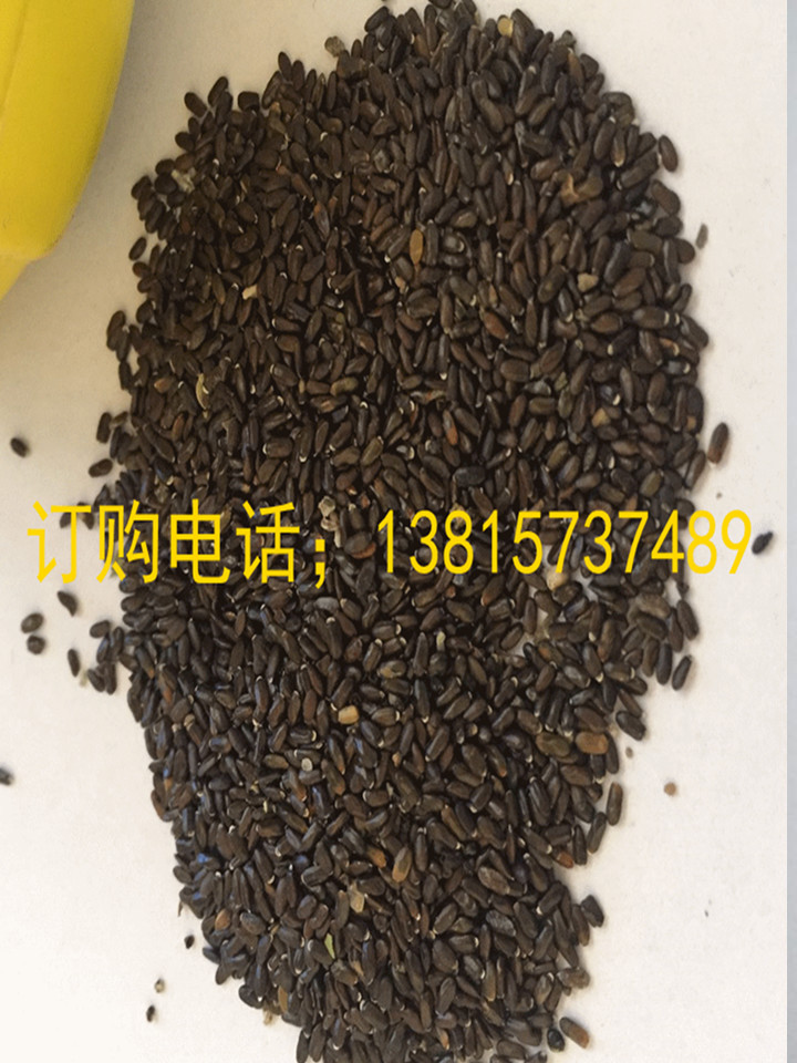 1481630602_副本.jpg