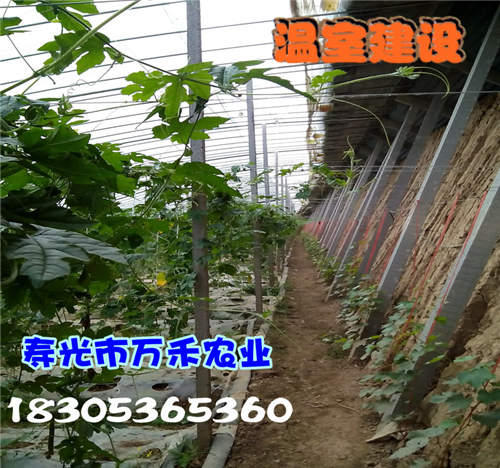 立柱冬_副本0.jpg