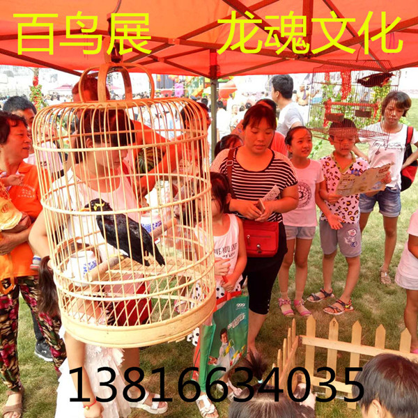 366924608164535315_副本_副本.jpg