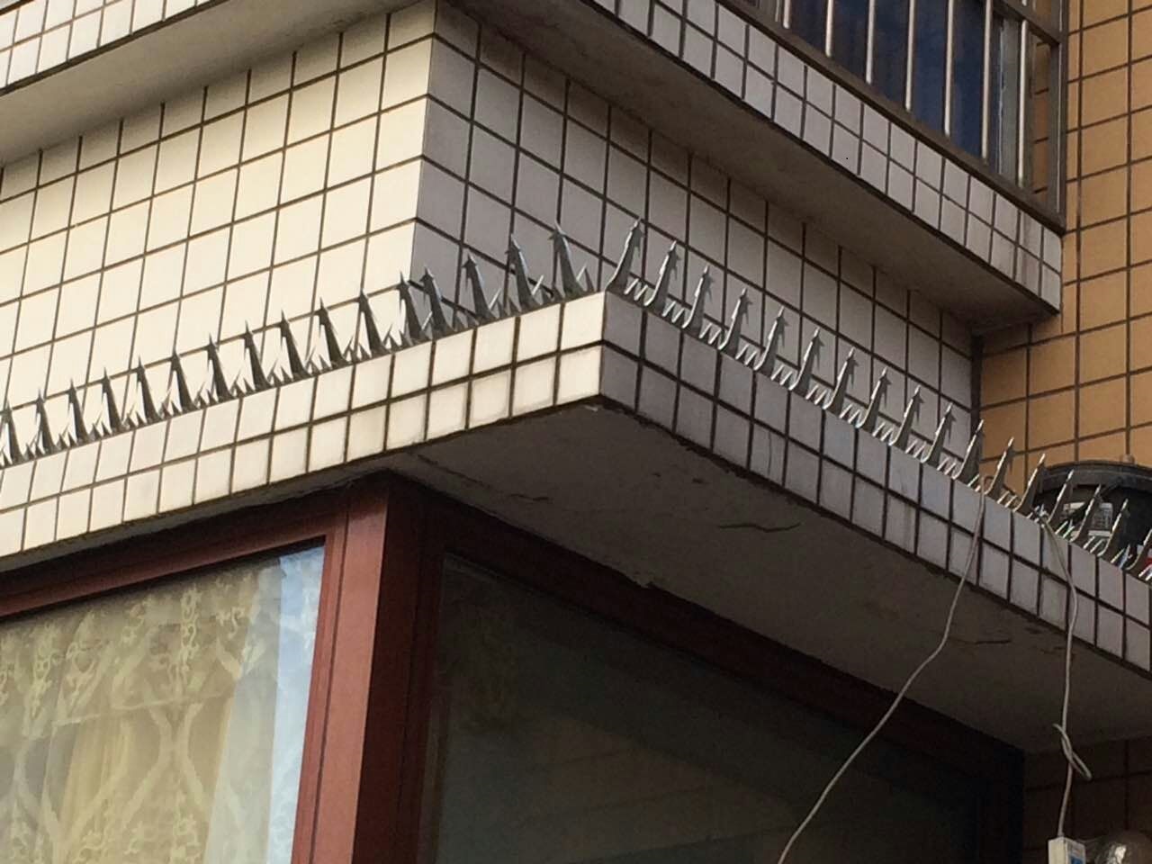 大号刺钉安装效果图.jpg
