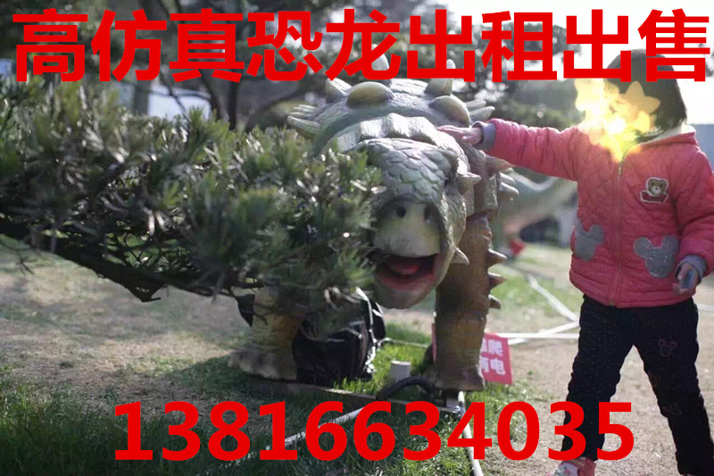 IMG_1645_副本.jpg