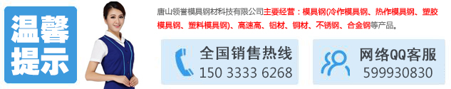 领誉模具咨询.jpg