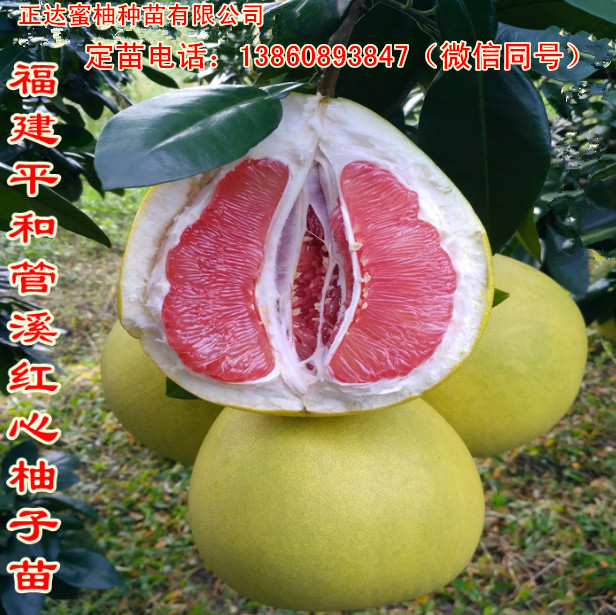8{d35x{x6j3cvd_t@39afzv_副本.jpg