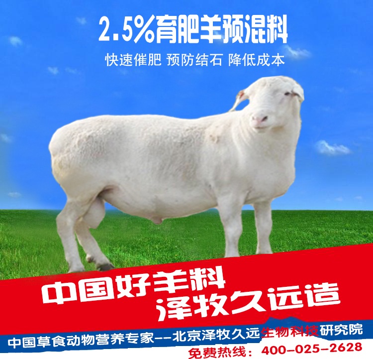 育肥羊详细介绍1.jpg