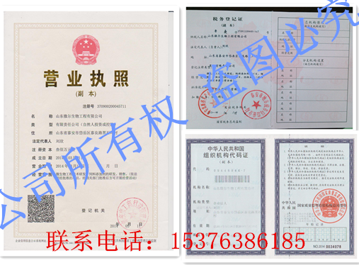 证件组合副本.png