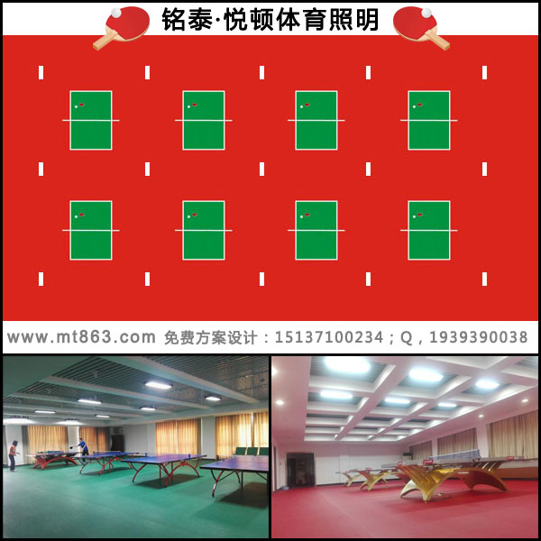 多片乒乓球2.jpg
