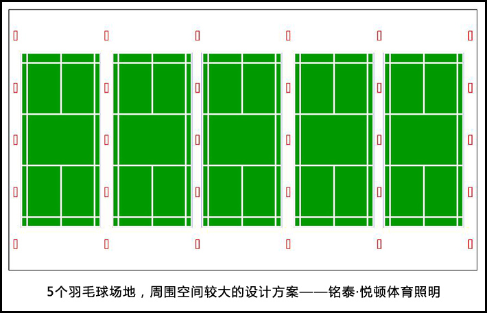 5片羽毛球.jpg