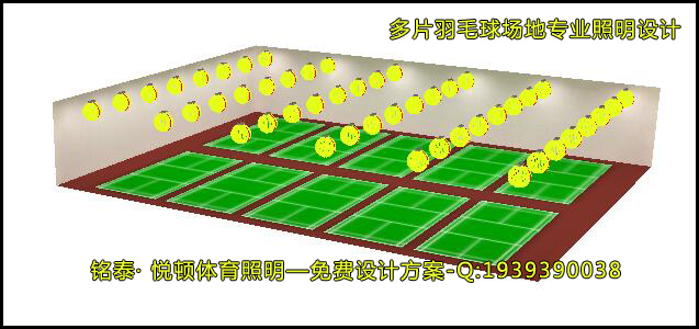 多片羽毛球 (1).jpg