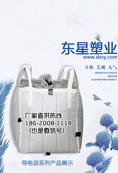 1489566761448719.jpg 吨袋24.jpg