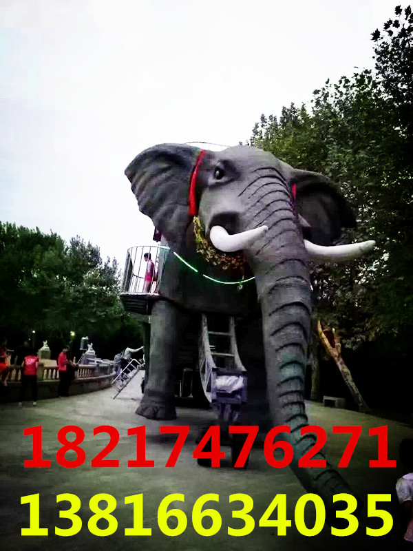 763754309660592826.jpg