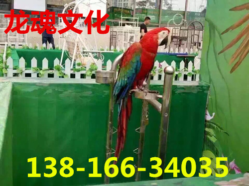 646587493550838737_副本.jpg