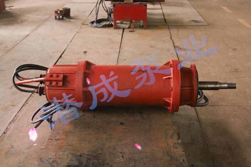 轴流泵电机.jpg