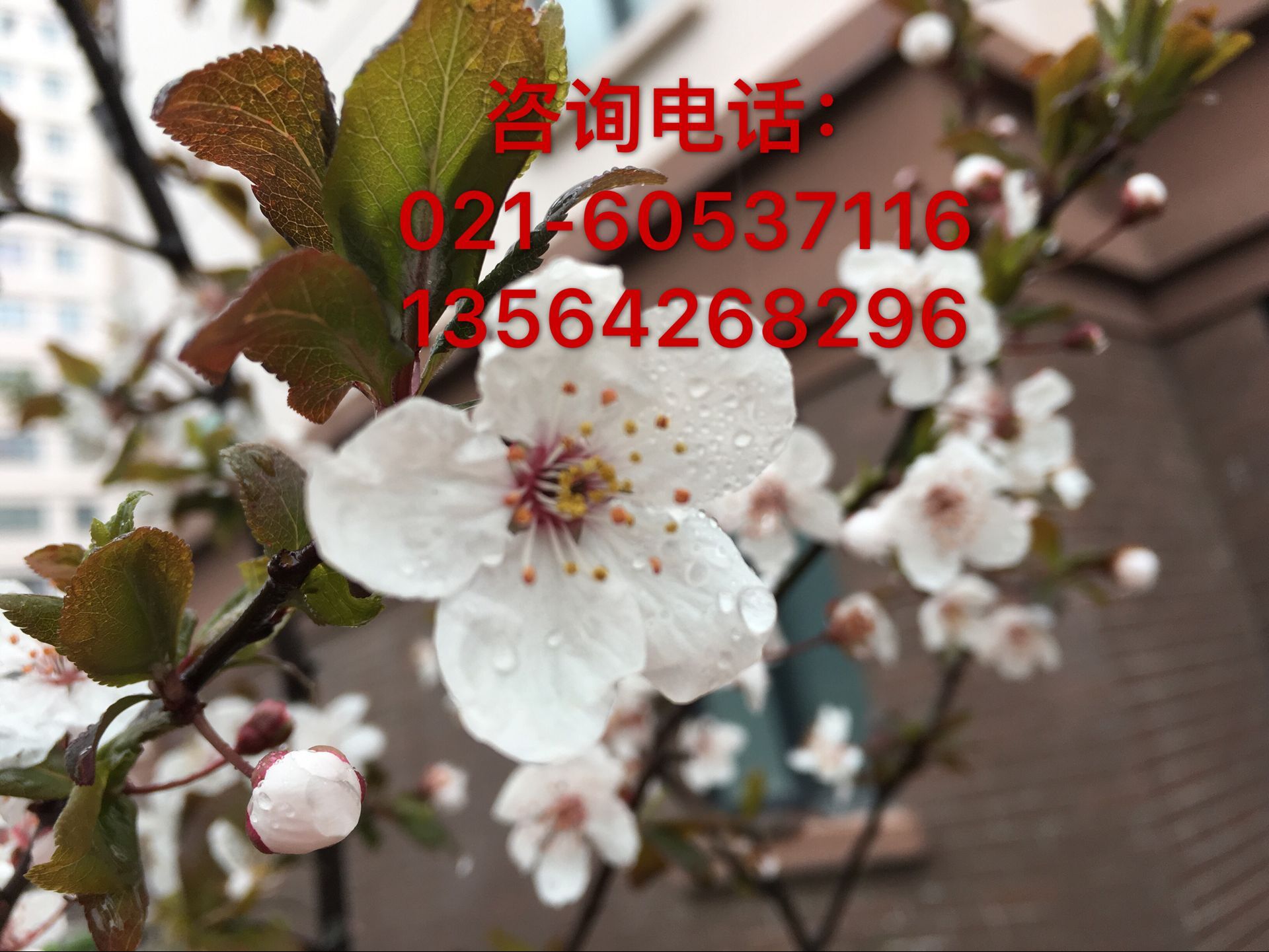 QQ图片20170320171038.jpg