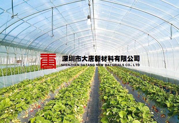 PC阳光板1.jpg