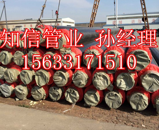 QQ图片20170219134500.jpg