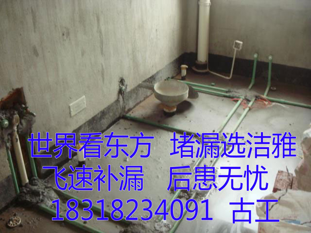 12069942.jpg