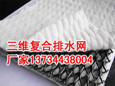三维复合排水网.jpg