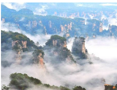QQ截图20170406160808.png