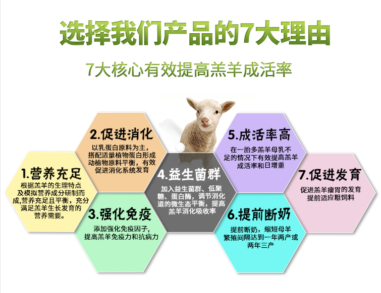 羔羊3.png