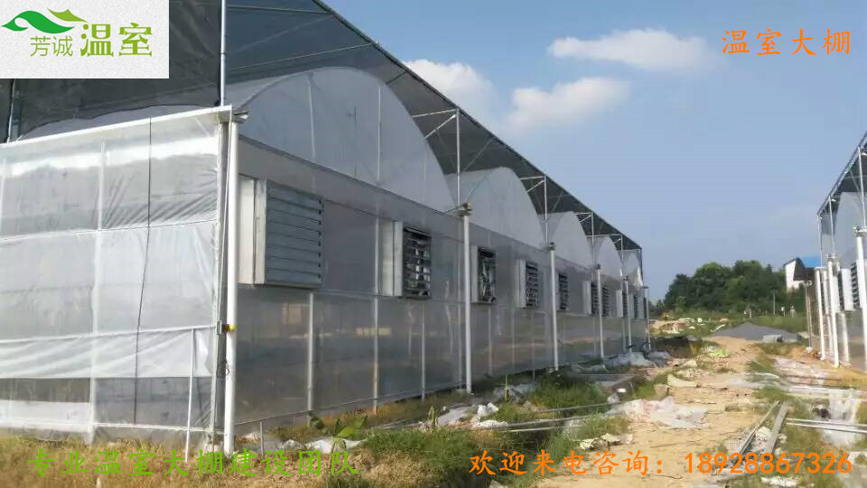 30连栋大棚湖南郴州生态餐厅.jpg
