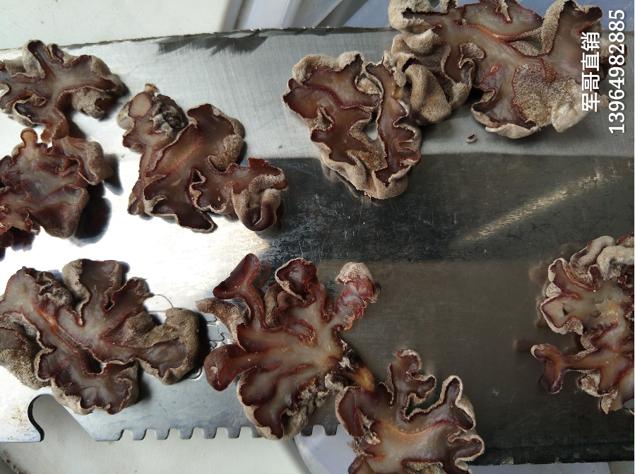 猴脑菇猴头菇猴菇