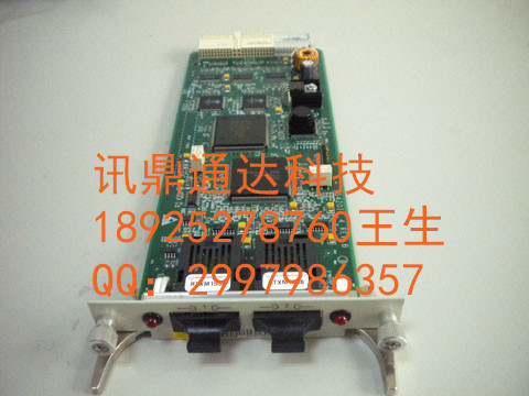 OI2D（大）.jpg