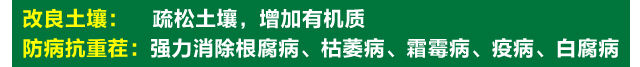 u3_06.jpg
