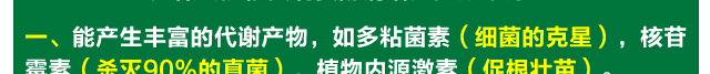 u3_13.jpg