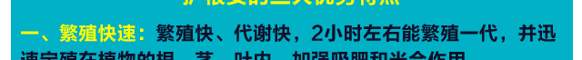 u3_17.jpg