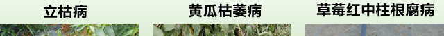 u4_08.jpg