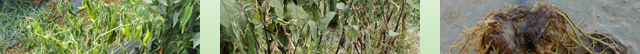 u4_09.jpg