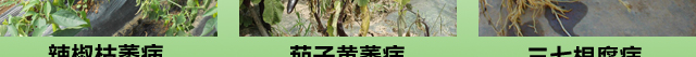 u4_11.jpg
