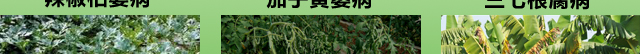u4_12.jpg