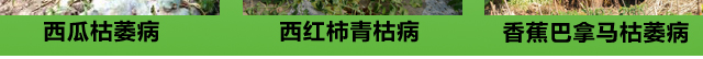 u4_15.jpg