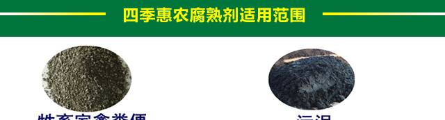 5_01.jpg