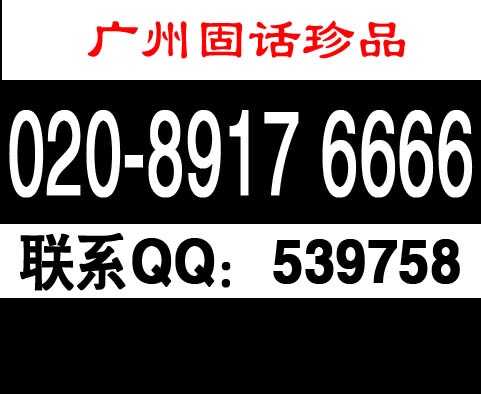 89176666.jpg