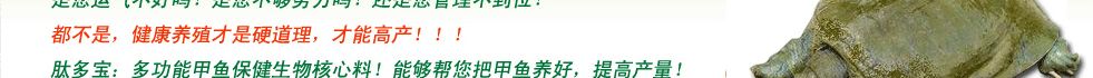 14780754441283.gif