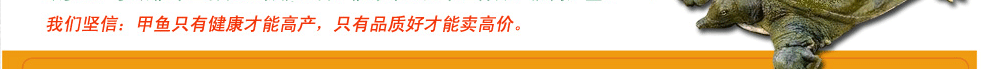 14780754471735.gif