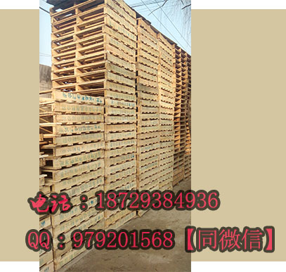 981123.jpg