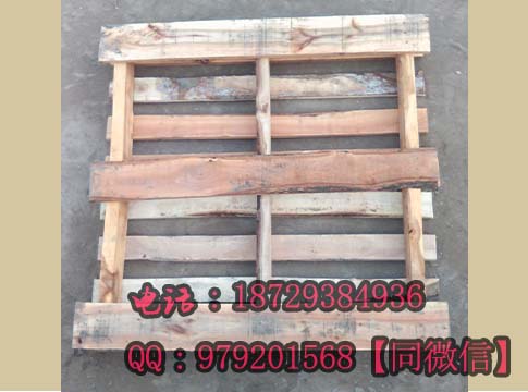 9597-2.jpg