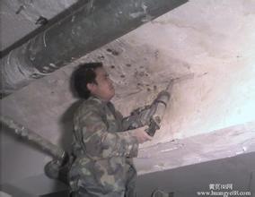 u=1041562439,3189697966&fm=21&gp=0.jpg