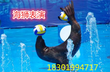 u=2573323908,755697236&fm=23&gp=0_副本.jpg