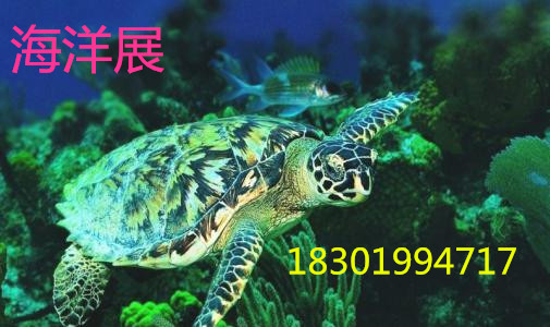 u=2976733019,3461675867&fm=23&gp=0_副本.jpg