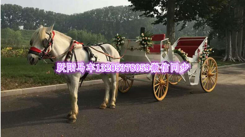 QQ图片20170513163841_副本.jpg