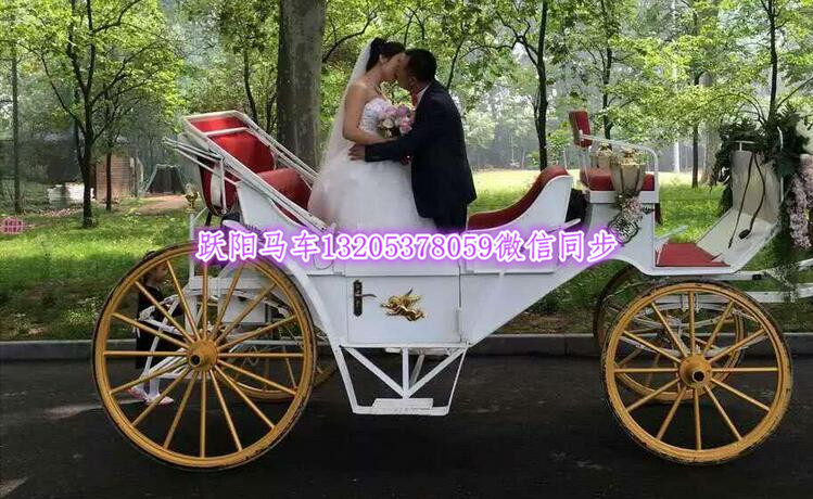 QQ图片20170513164002_副本.jpg