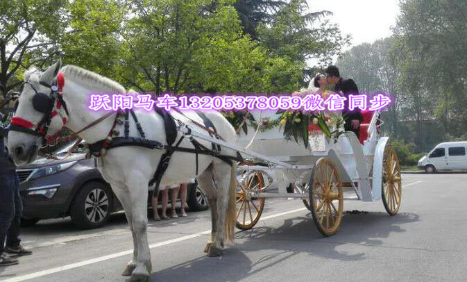QQ图片20170513164009_副本.jpg